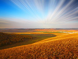 中屹将进入网络营销 前景一片光明！