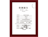 检测报告